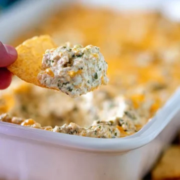 Hissy Fit Dip